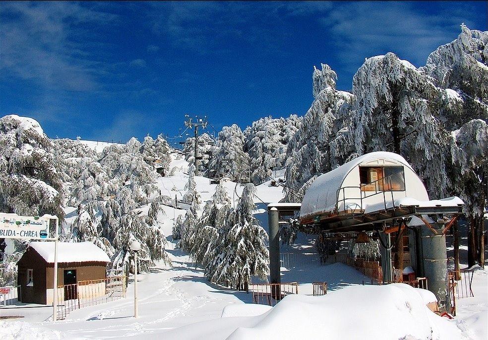 Le Parc national de Chréa ,Blida