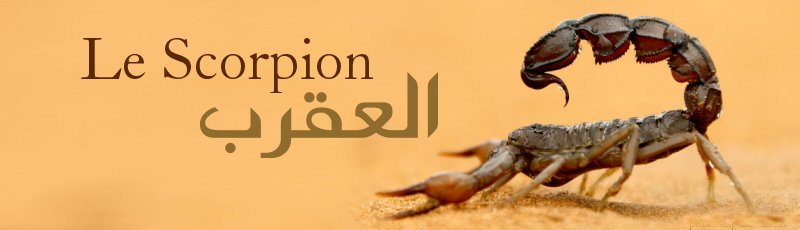 Algérie - Piqure de Scorpion