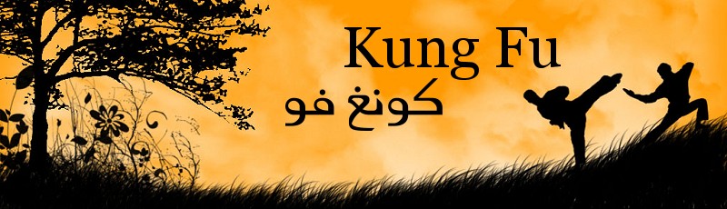 Alger - Kung Fu