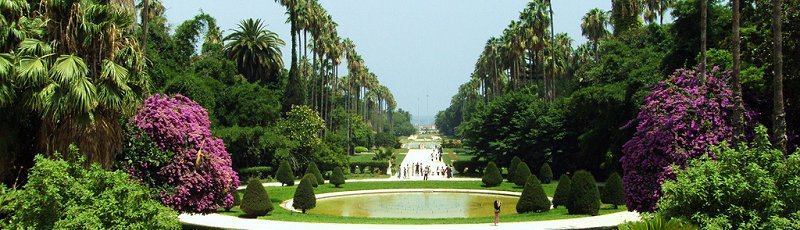 الجزائر - Espaces verts, plantations d'alignement