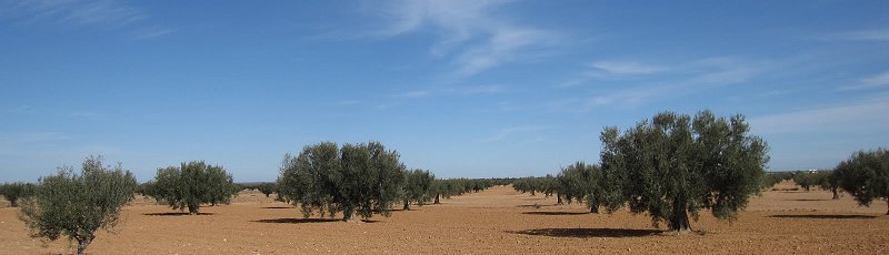 Toute l'Algérie - ITMAS : Institut de technologie moyen agricole spécialisé