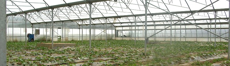 مستغانم - FNRPA : Le Fonds National de Régulation de la Production Agricole