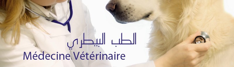 Algérie - Médecine vétérinaire
