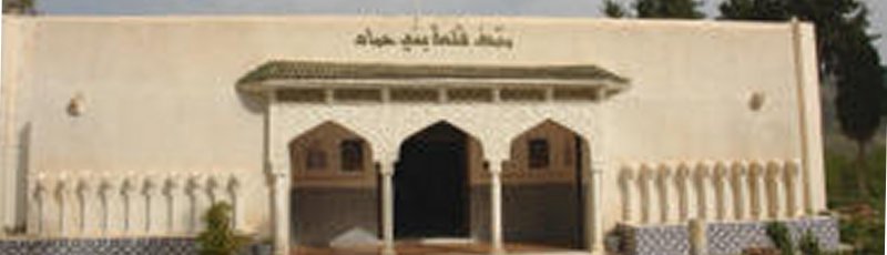 الجزائر - Musée archéologique d'El Kalaa Beni Hammad (Commune d'El Maadid)