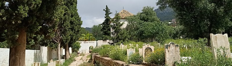 الجزائر - Cimetière Sidi Senouci	(Commune de Tlemcen, Wilaya de Tlemcen)