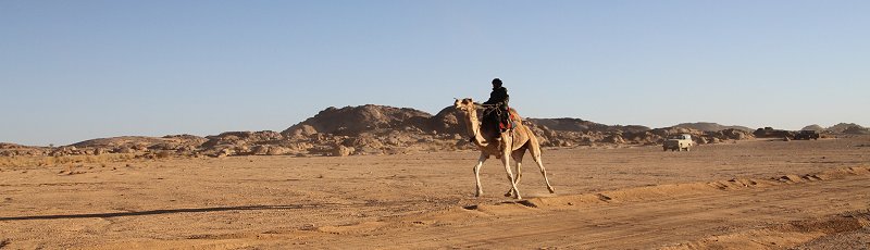 Tamanrasset - Festival ou Fête du chameau, Amni