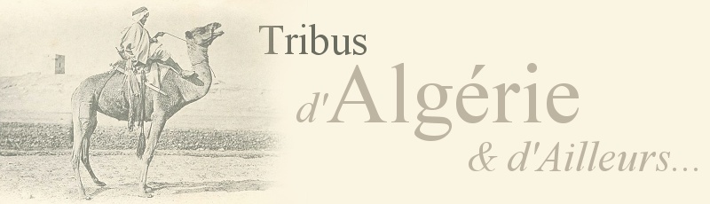 Algérie - Touaregs