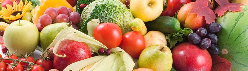 Jijel - Culture de Fruits et Légumes