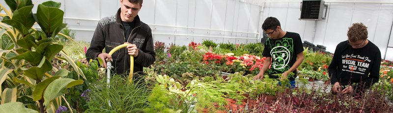 بجاية - Horticulture et paysagisme