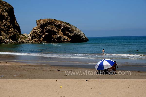 Moscarda 2 Plage De Port Say Marsa Ben Mhidi La Période