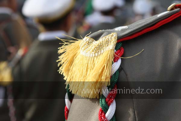 Festivités du cinquantenaire de l'indépendance de l'Algérie à Tlemcen, défilé, feux d'artifices et fantasia au programme