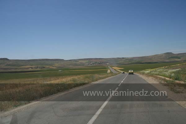 Sidi Hosni (Waldeck-Rousseau) commune de la wilaya de Tiaret