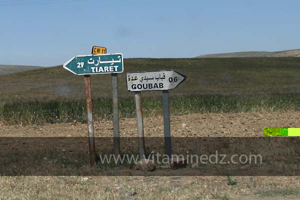 Goubab Sidi Adda à Sidi Hosni (Waldeck-Rousseau) commune de la wilaya de Tiaret