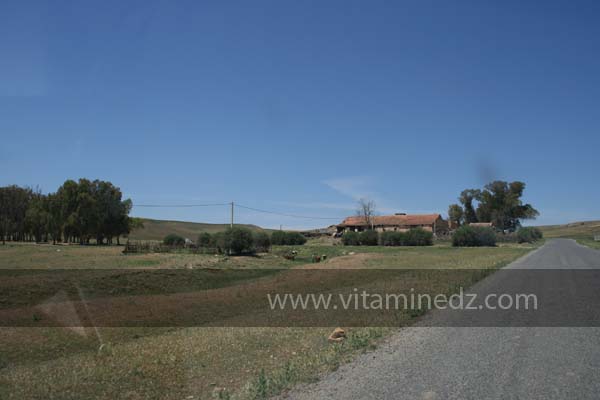 Ferme coloniale à Sidi Hosni (Waldeck-Rousseau) commune de la wilaya de Tiaret