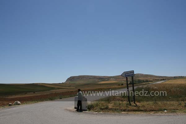 Dahmouni, commune de la wilaya de Tiaret