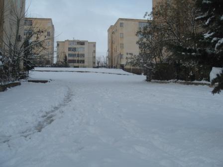 Sétif sous la neige, février 2013