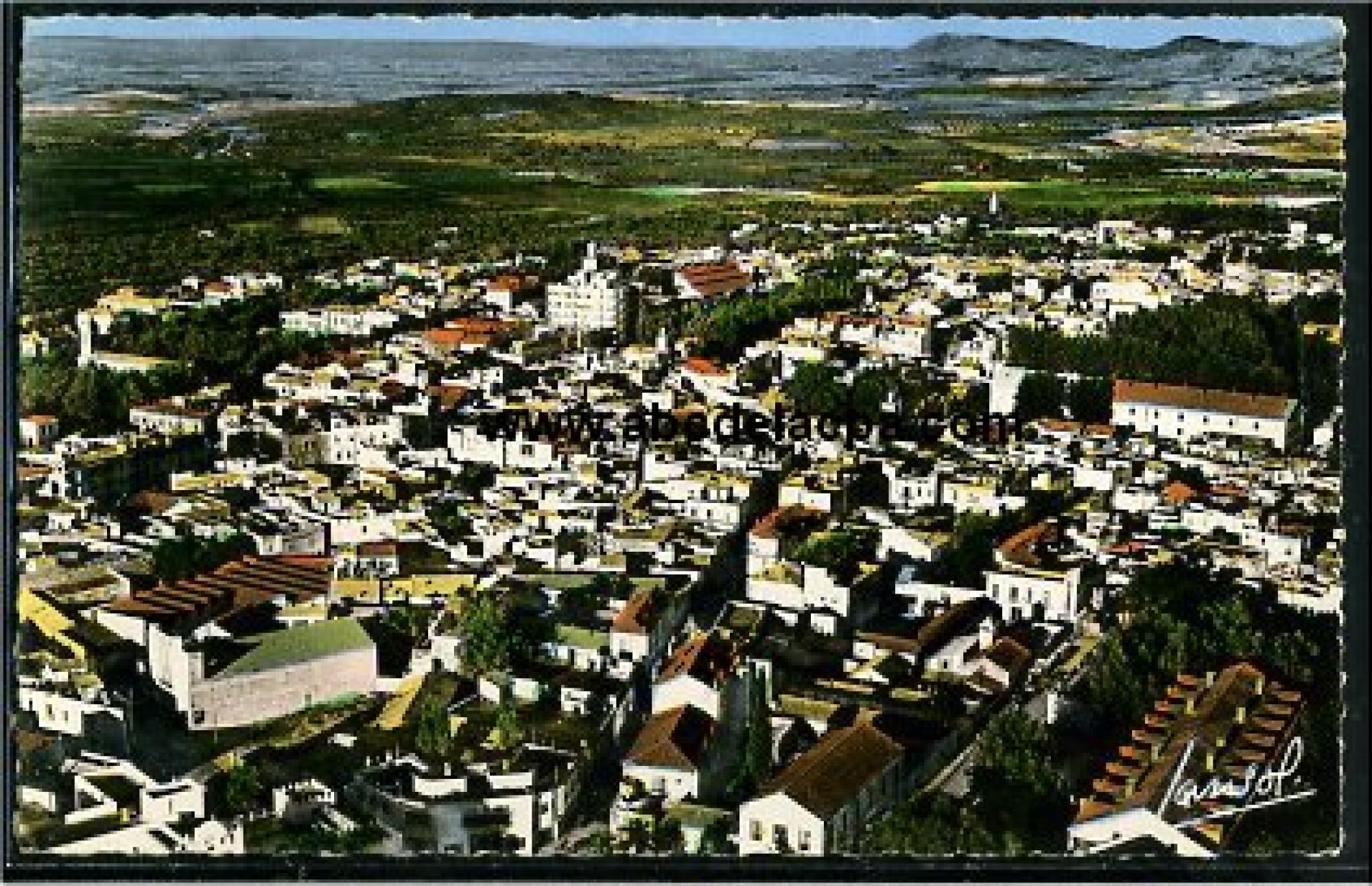 Tlemcen  - vue générale