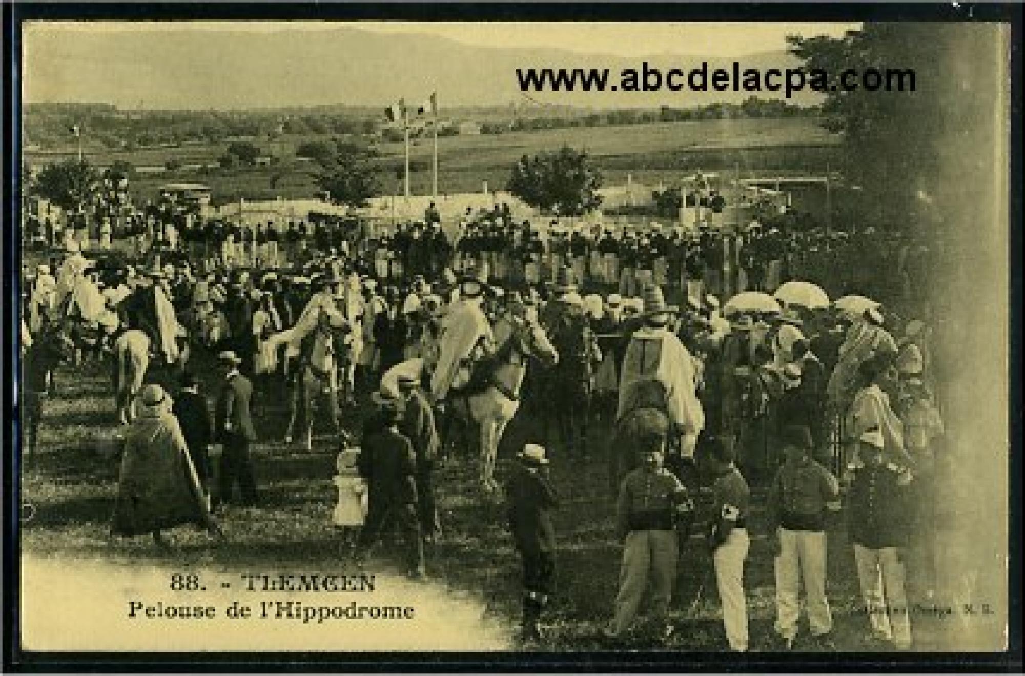 Tlemcen  - pelouse de l'hippodrome