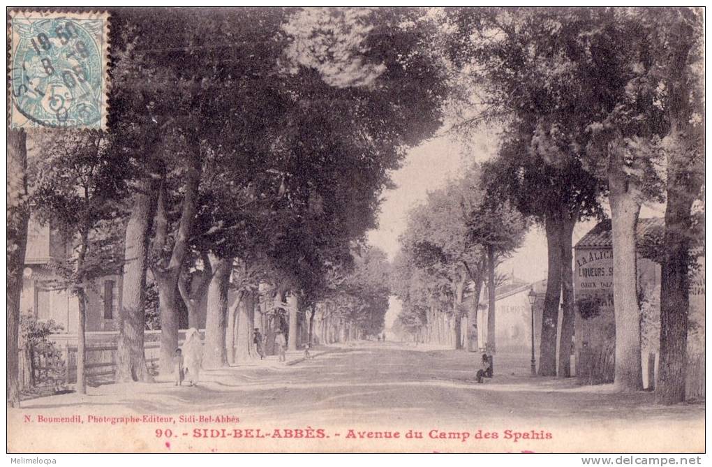 CPA carte postale ancienne AFRIQUE ALGERIE SIDI-BEL-ABBES avenue du Camp des Spahis 1905