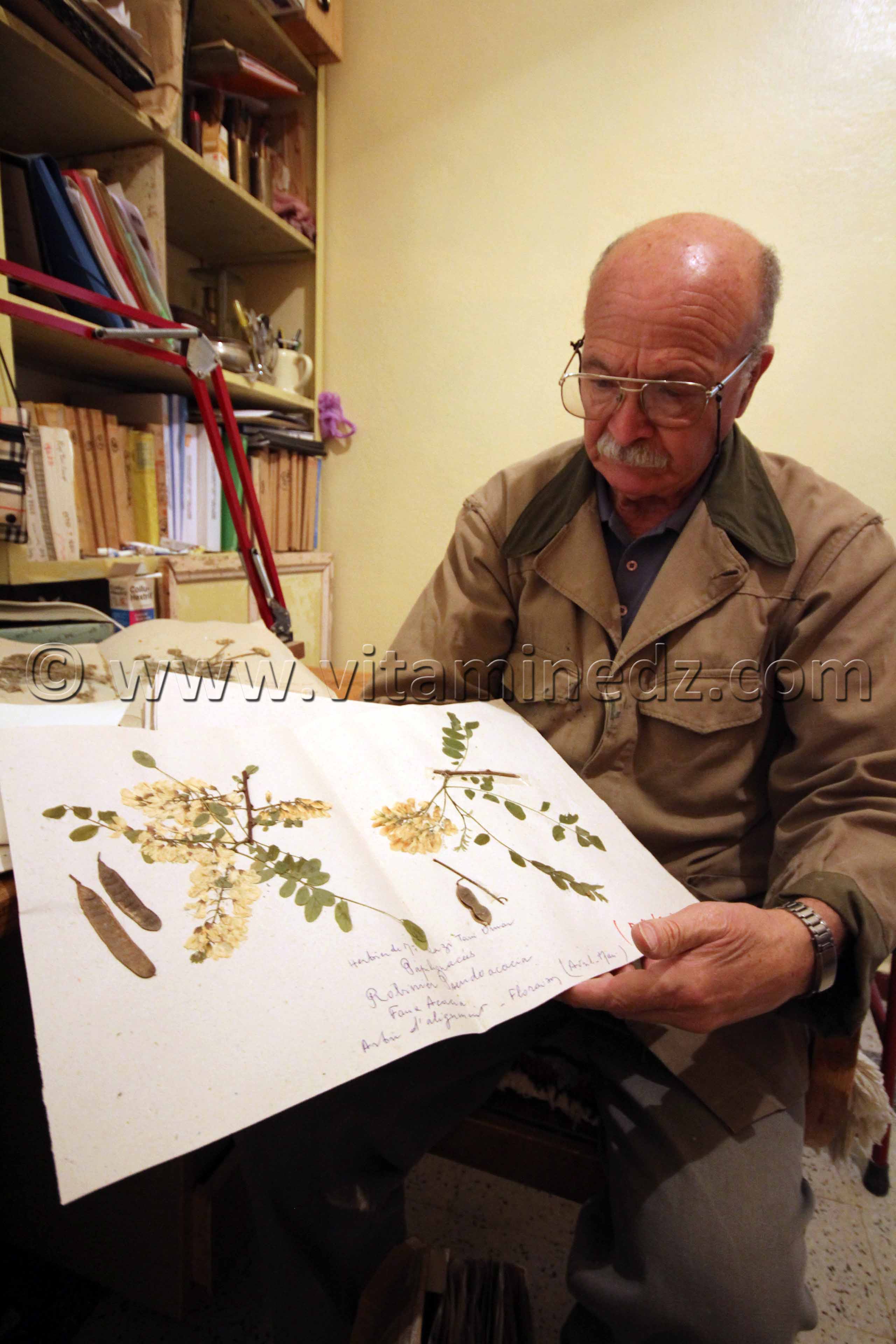 Planches d'herbier soigneusement constituées et conservées par Mr Kazi