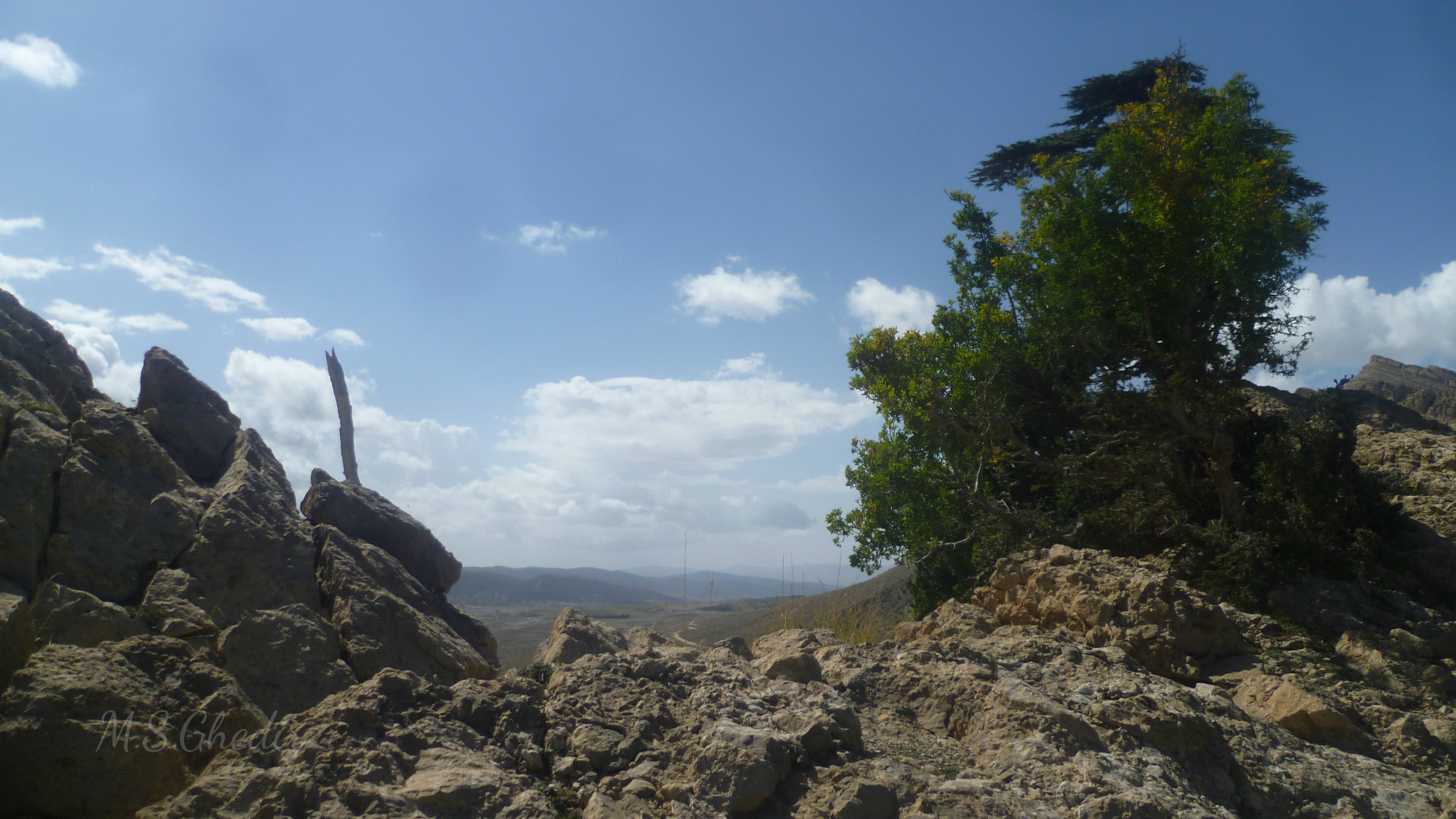 Djebel Chélia Montagne En Algérie Khenchela Batna