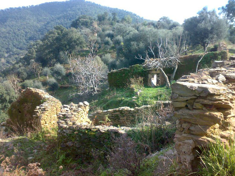 Paysage makhled,jijel, algerie