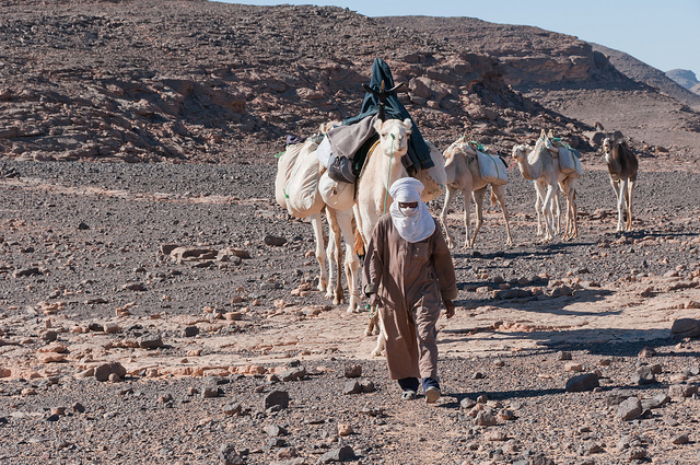 Caravane de Touareg traversant le vaste désert d'Illizi