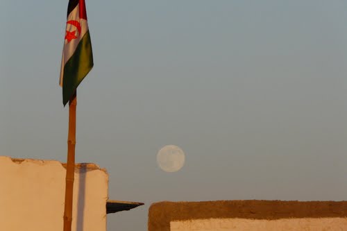 Ecole Primaire du Camp de Réfugiés Sahraouis à Tindouf