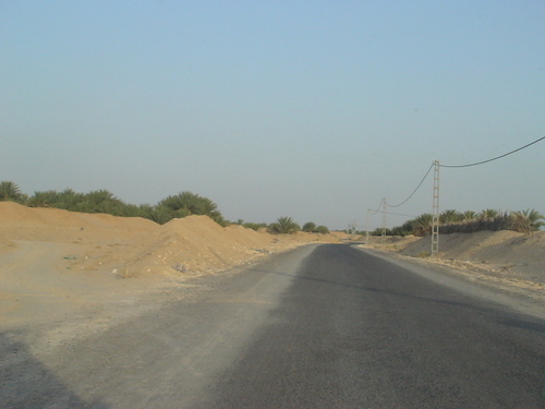 Route Agricole aux abords d'El Oued